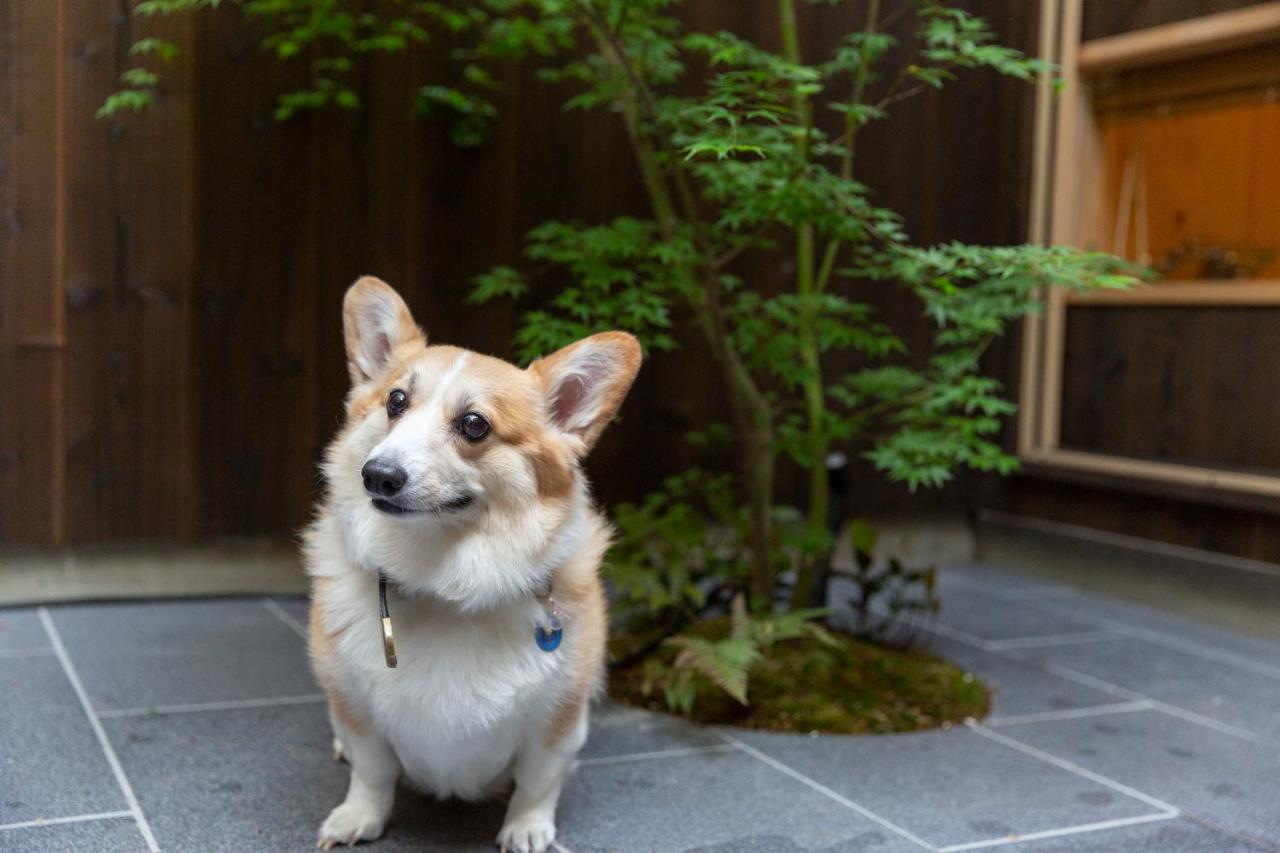 染 Sen 七条花畑 Shichijo-Hanabatake Kyoto Buitenkant foto